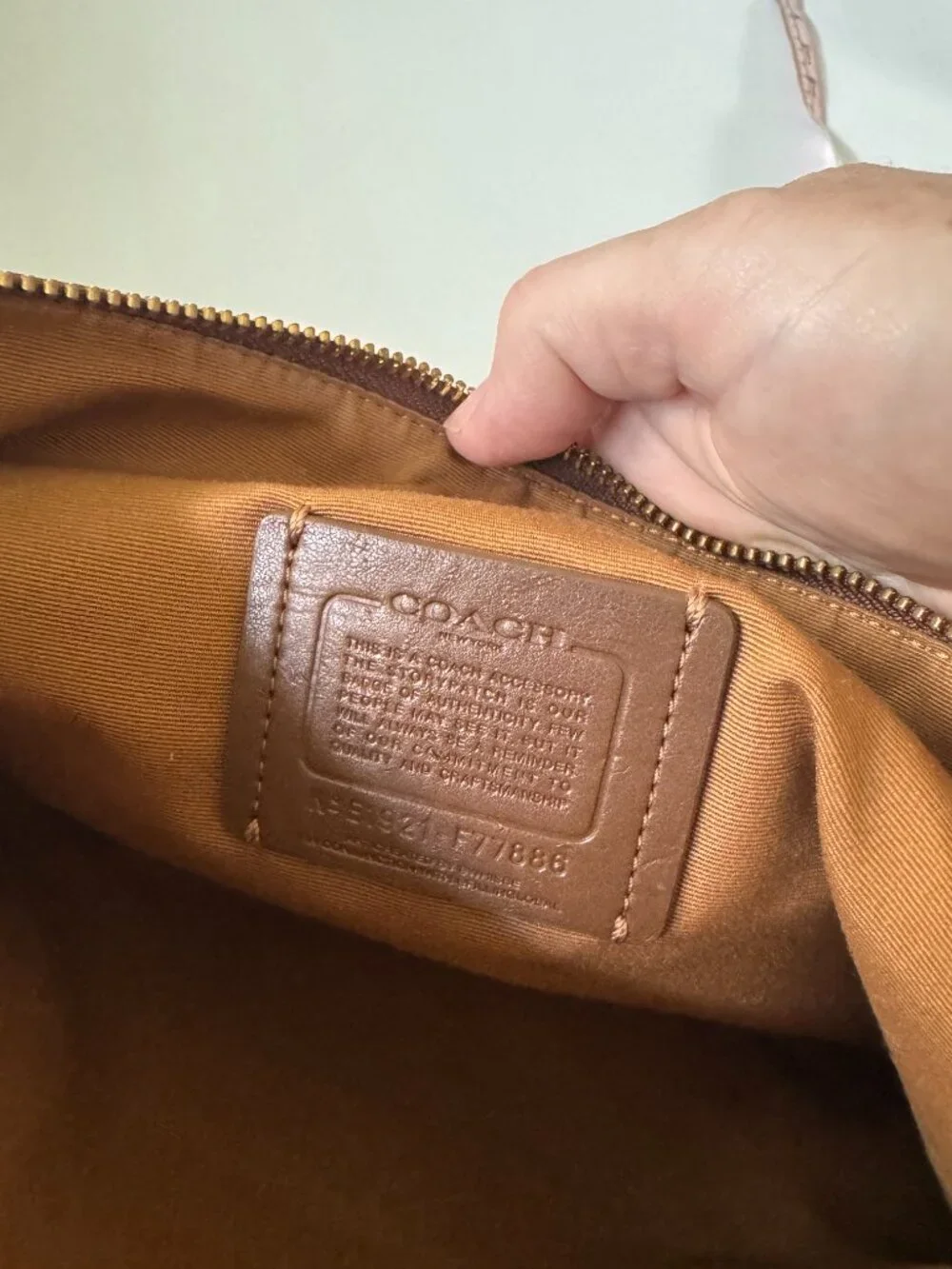 Coach add little